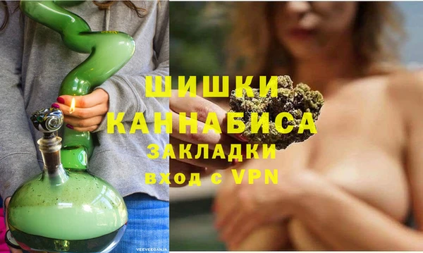 индика Аркадак